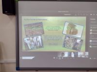 received 271180831115501