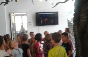 IMG-20180608-WA0004