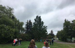 received 1793366280953900 (Copy)