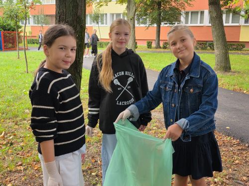 Sprzatanie swiata (1)