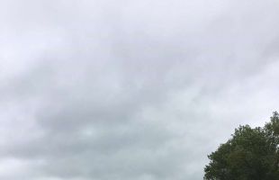 received 1793366257620569 (Copy)