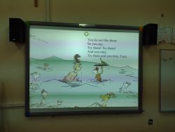 143555950 750114989216595 6865350395851945076 n