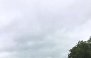 received 1793366270953901 (Copy)